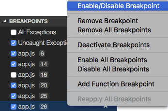 Debug Breakpoints